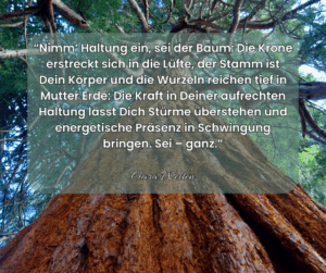 Starker Baumstamm und Baumkrone